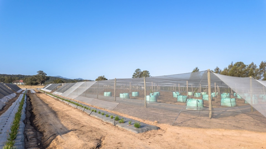 Commercial Property for Sale in Kraaibos Western Cape